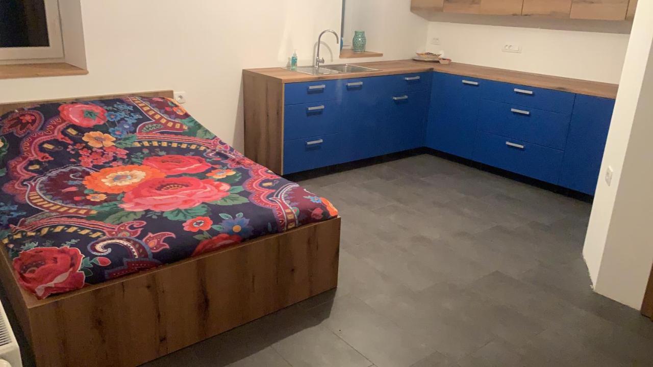 Amazing Apartment Stari Trg pri Lozu Eksteriør bilde